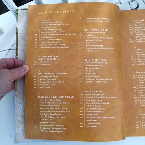 INDIAN Cookbook, New Indian Basics, Indian Recipes, Like New Condition - Picture 3 of 5